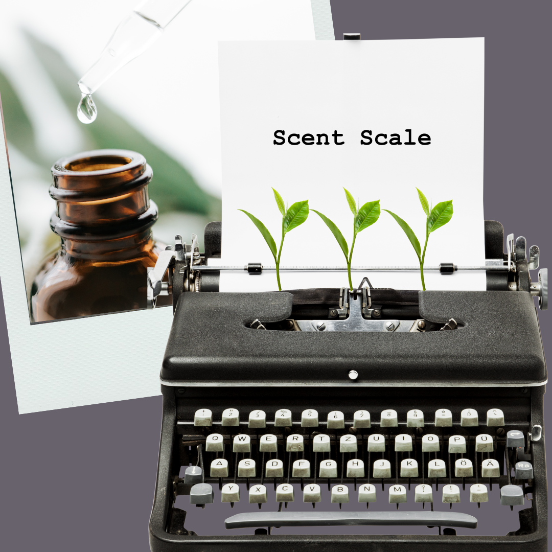 What are your best smelling soaps?