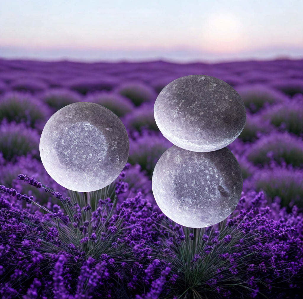 Lavender + Tea Tree Shampoo Bar