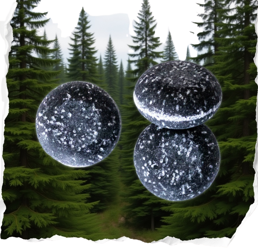 Juniper Pine Shampoo Bar